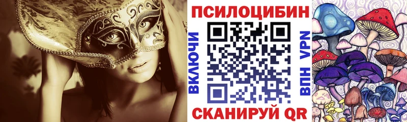 купить  цена  Иноземцево  Галлюциногенные грибы MAGIC MUSHROOMS 